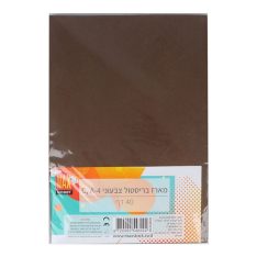 מארז בריסטולים A4