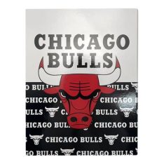 קלסר NBA שיקגו בולס