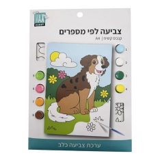 קנבס קשיח לצביעה על פי מספרים