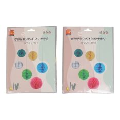 מארז קישוטי סוכה עגולים